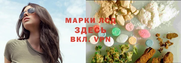 ECSTASY Кирсанов