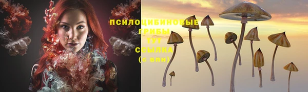 ECSTASY Кукмор