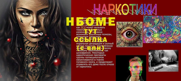 мдпв Лагань