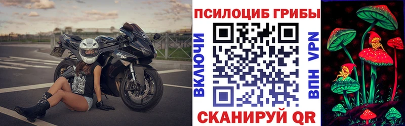 Псилоцибиновые грибы прущие грибы  Малгобек 